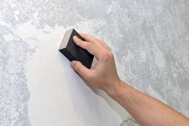 Best Mold Damage Restoration  in Ringgold, GA