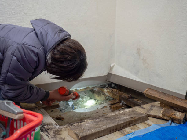 Best Commercial Mold Inspection  in Ringgold, GA