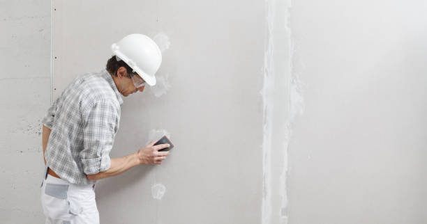 Best Environmental Consulting for Mold Prevention  in Ringgold, GA