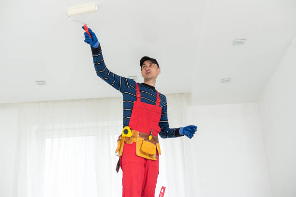 Mold Odor Removal Services