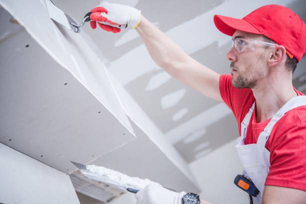 Best Attic Mold Removal  in Ringgold, GA